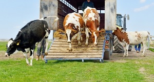 CONTRIBUTO PER LO SMALTIMENTO DELLE CARCASSE DEGLI ANIMALI DECEDUTI IN AZIENDA NELL ANNO 2025 foto 