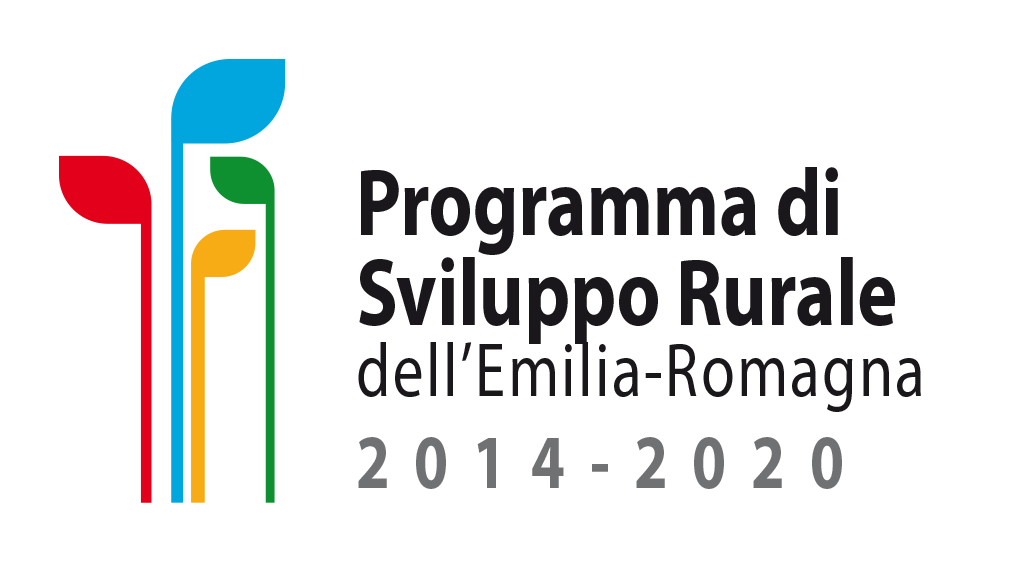 PROGETTI COMUNALI FINANZIATI DALLA MISURA 19 DEL PSR 2014-2020RA 19 foto 